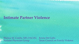 TM17 Intimate Partner Violence Slide TM17 Intimate Partner Violence Slide